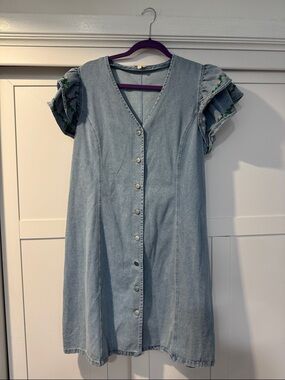 Layers Clothing Light Blue Denim Button-Front Dress with Ruffle Sleeves